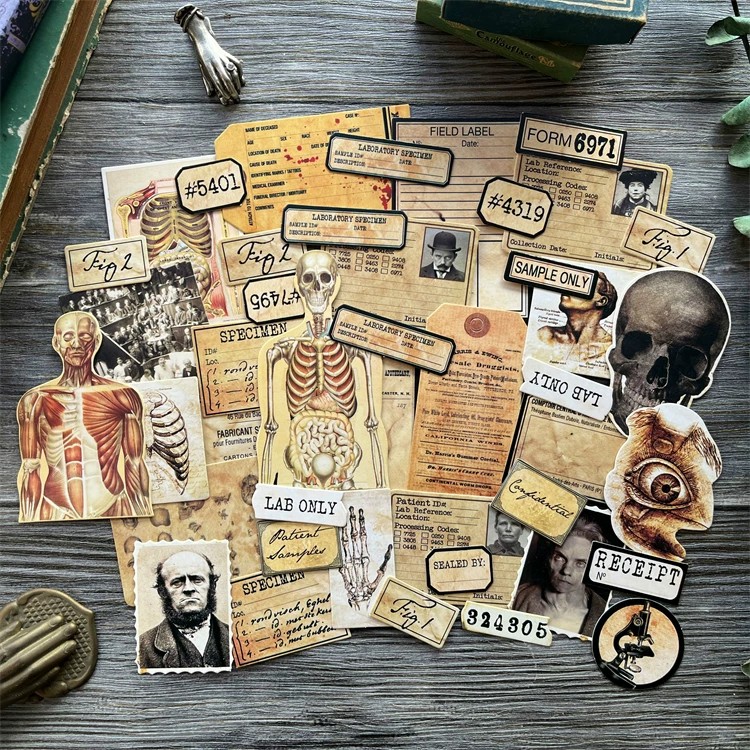 DIY Scrapbooking Vintage Doll  - Vintage Collectible Dolls recension och pris