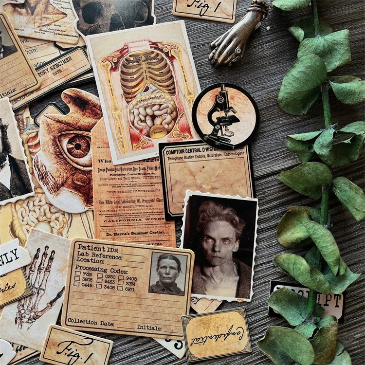 DIY Scrapbooking Vintage Doll  - Vintage Collectible Dolls recension och pris