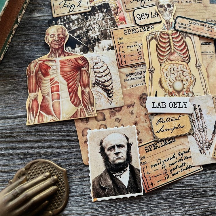 DIY Scrapbooking Vintage Doll  - Vintage Collectible Dolls recension och pris